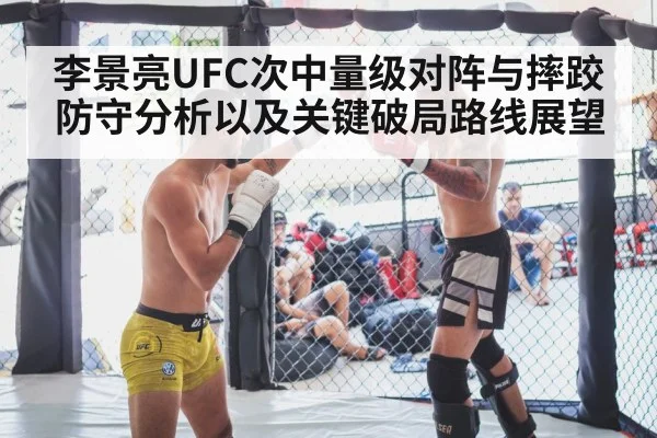 UFC octagon cage grappling
